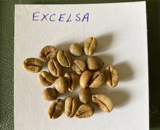 人发现硬币两面朝上的概率竟然不一样？pg电子平台4年抛35万次硬币！这个