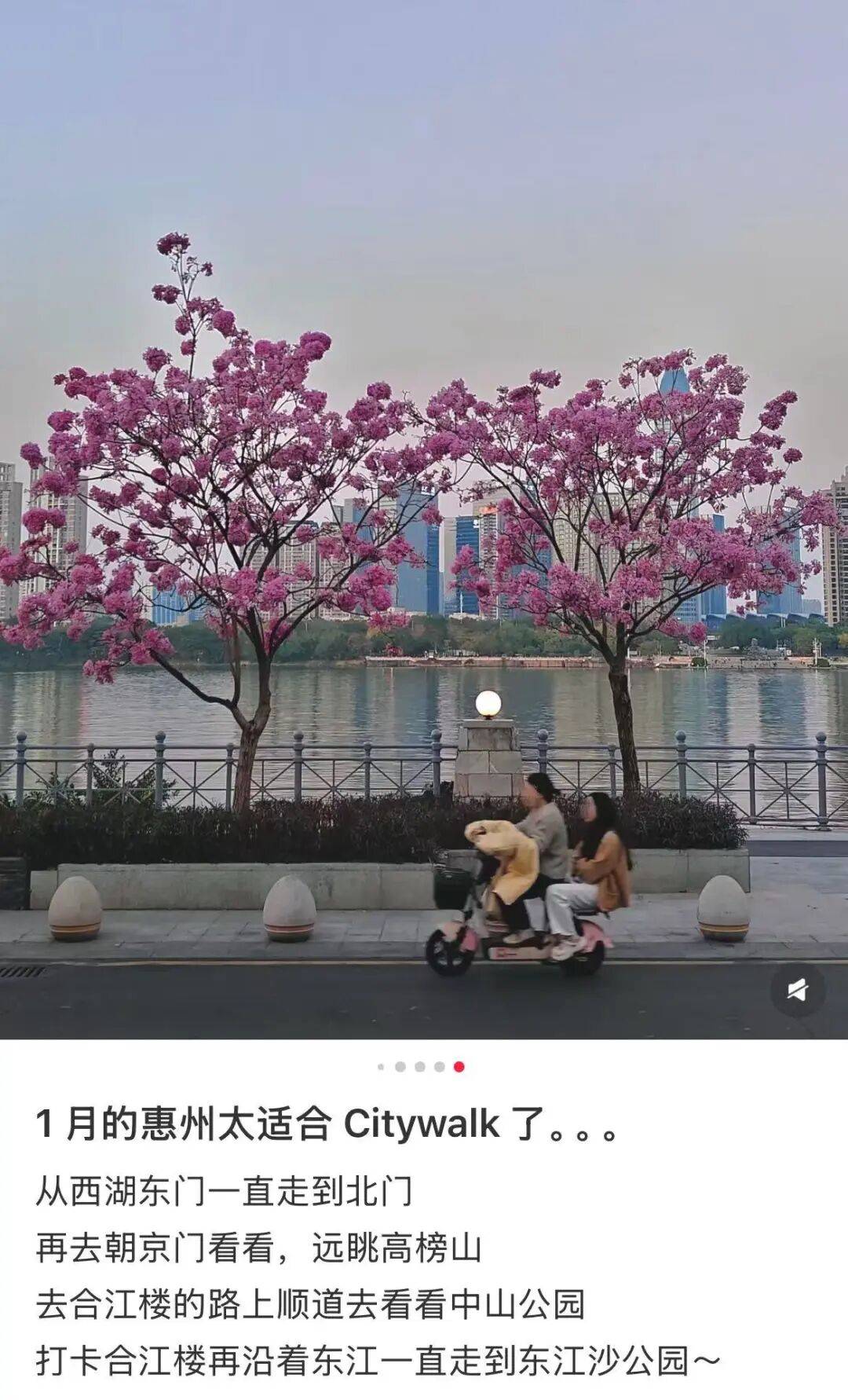 国顶配享福城市打工人严选pg电子模拟器电脑版中(图2)